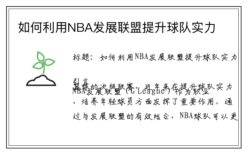 如何利用NBA发展联盟提升球队实力